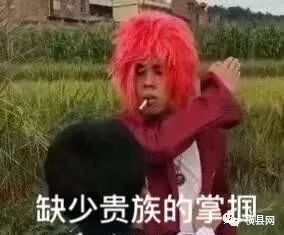084818ejxtl63t8brx8sl4.jpg
