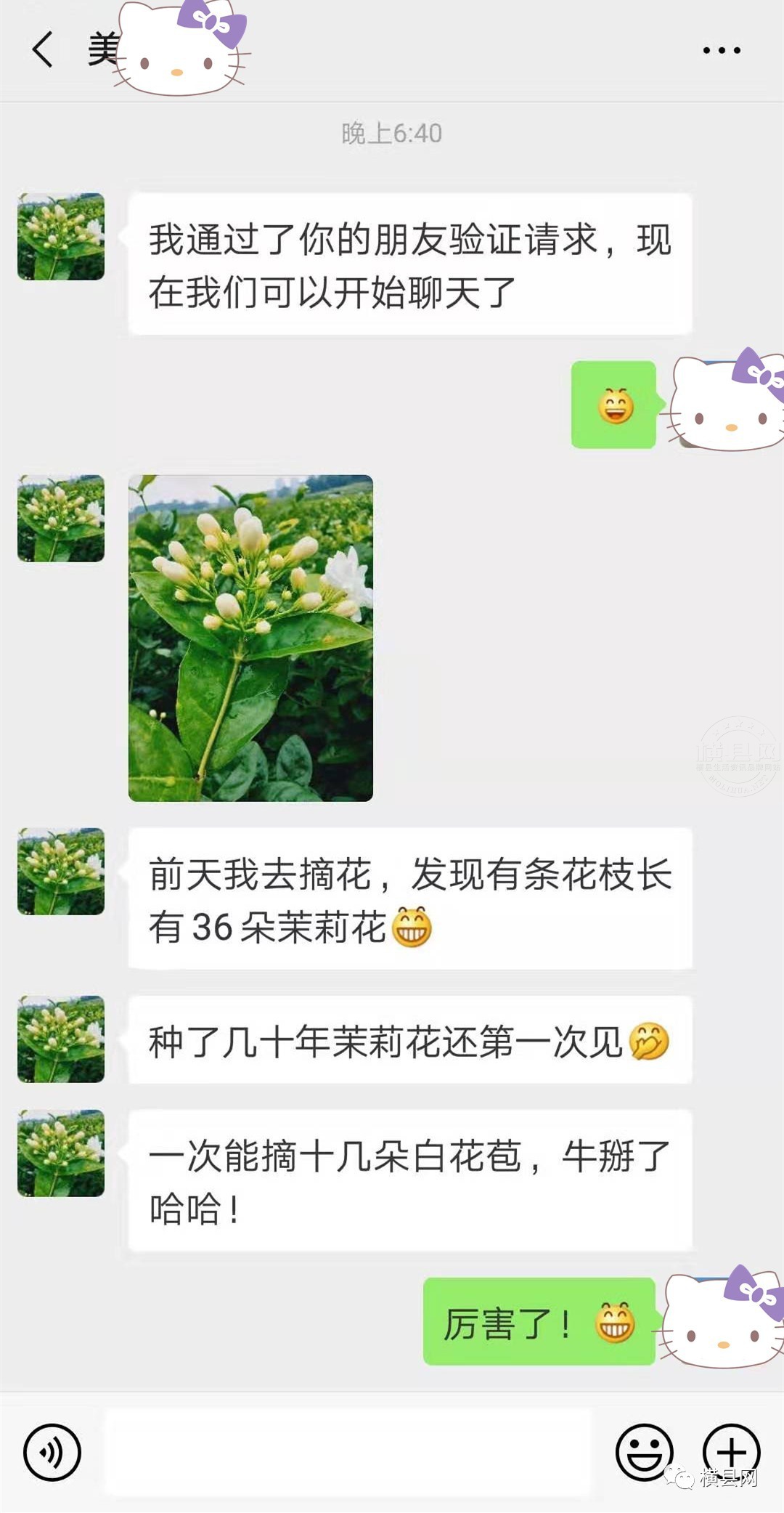 090342f0nta050qwdwtaaa.jpg