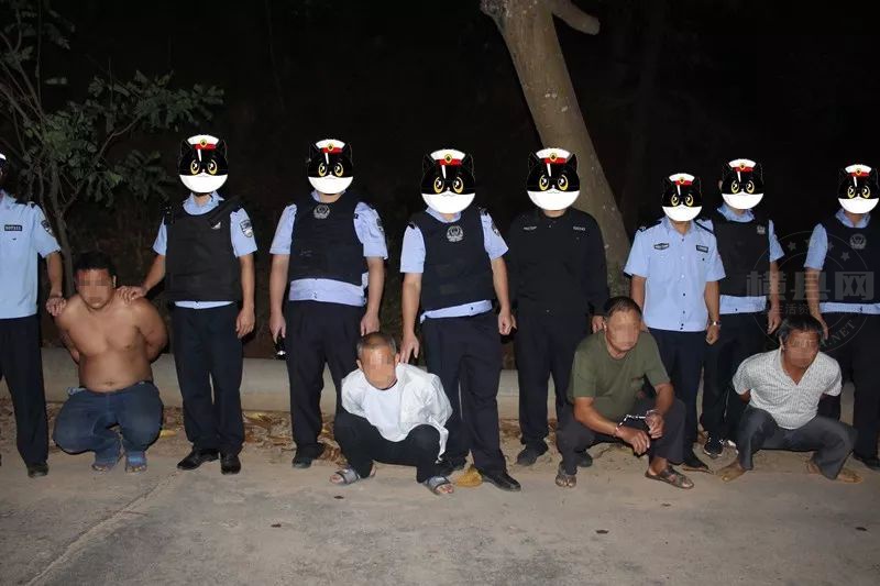 085031sqo572u7wy0n5lrr.jpg