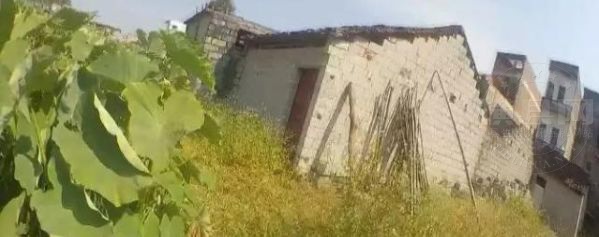 094217kpxzvj51xpjlz5m3.jpg