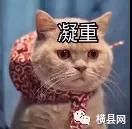 微信图片_20191030093618.jpg