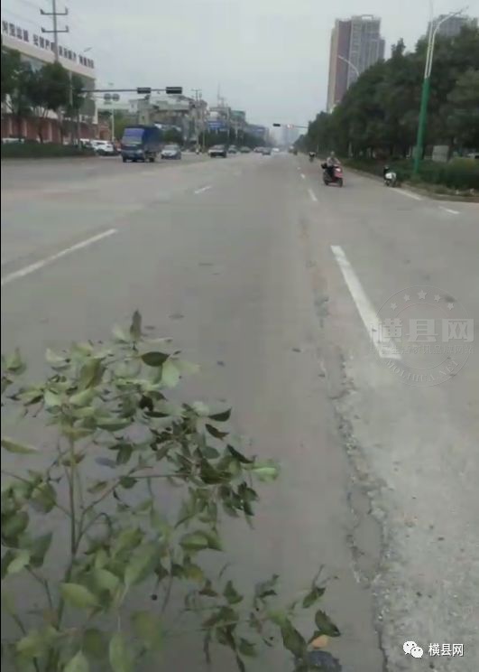 090236hpqxzprjqxzx6i1e.jpg