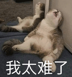 085402ym5t2gm3eyfzj2ee.jpg