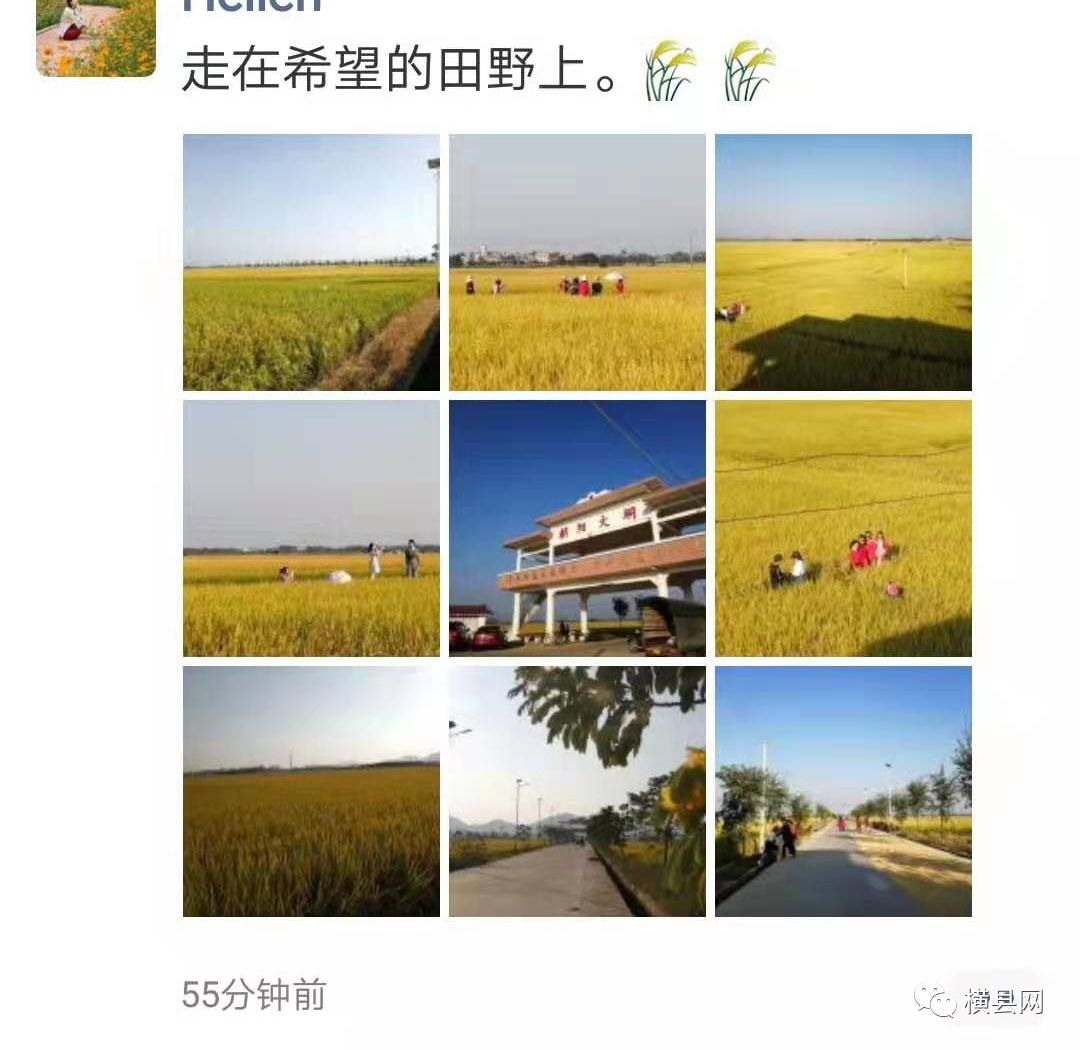 084746m3tt3kj7ctkm33x6.jpg