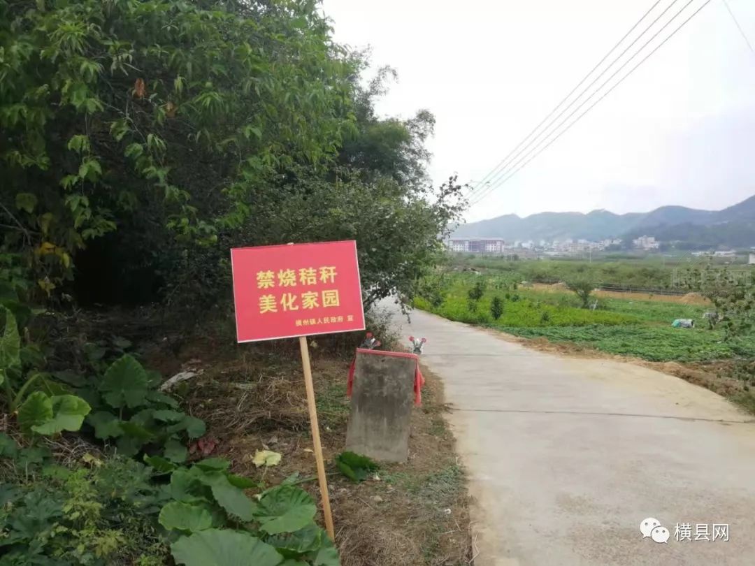 085650vjpuq8uowwdd2289.jpg