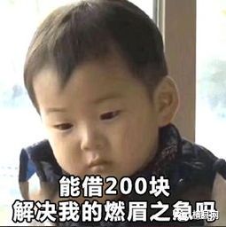 092031yh6pn5did75iiu7i.jpg