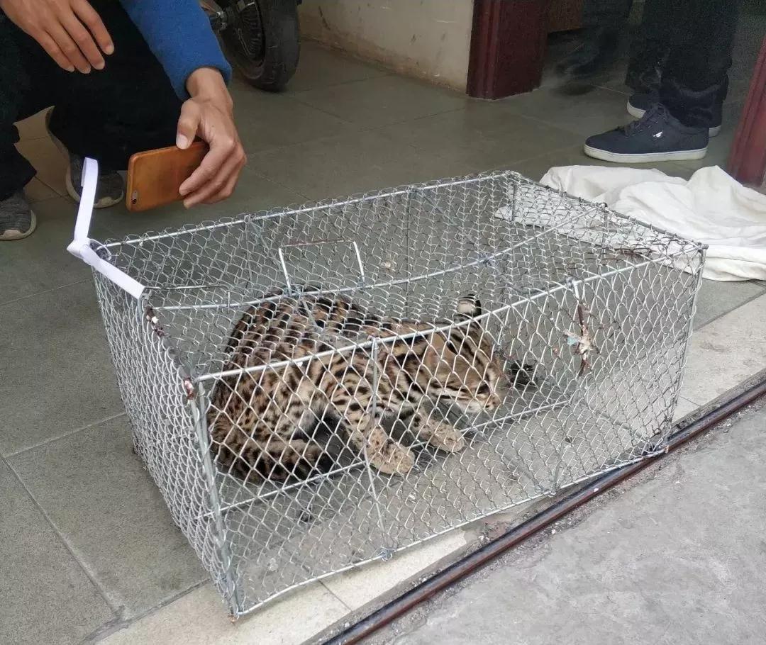 微信图片_20191212093142.jpg