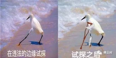 103652mqfng0ux0i3fuf4d.jpg