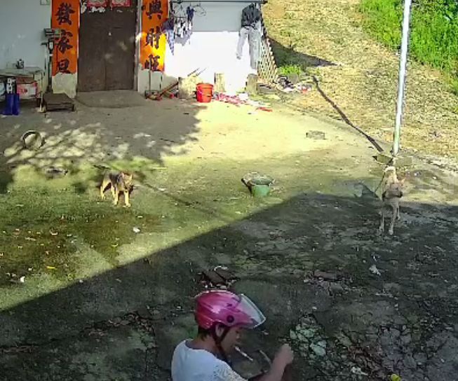 093010yksk93hnn36d0ij8.jpg