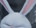 094925xpq4jnpjqn2j1vjb.jpg