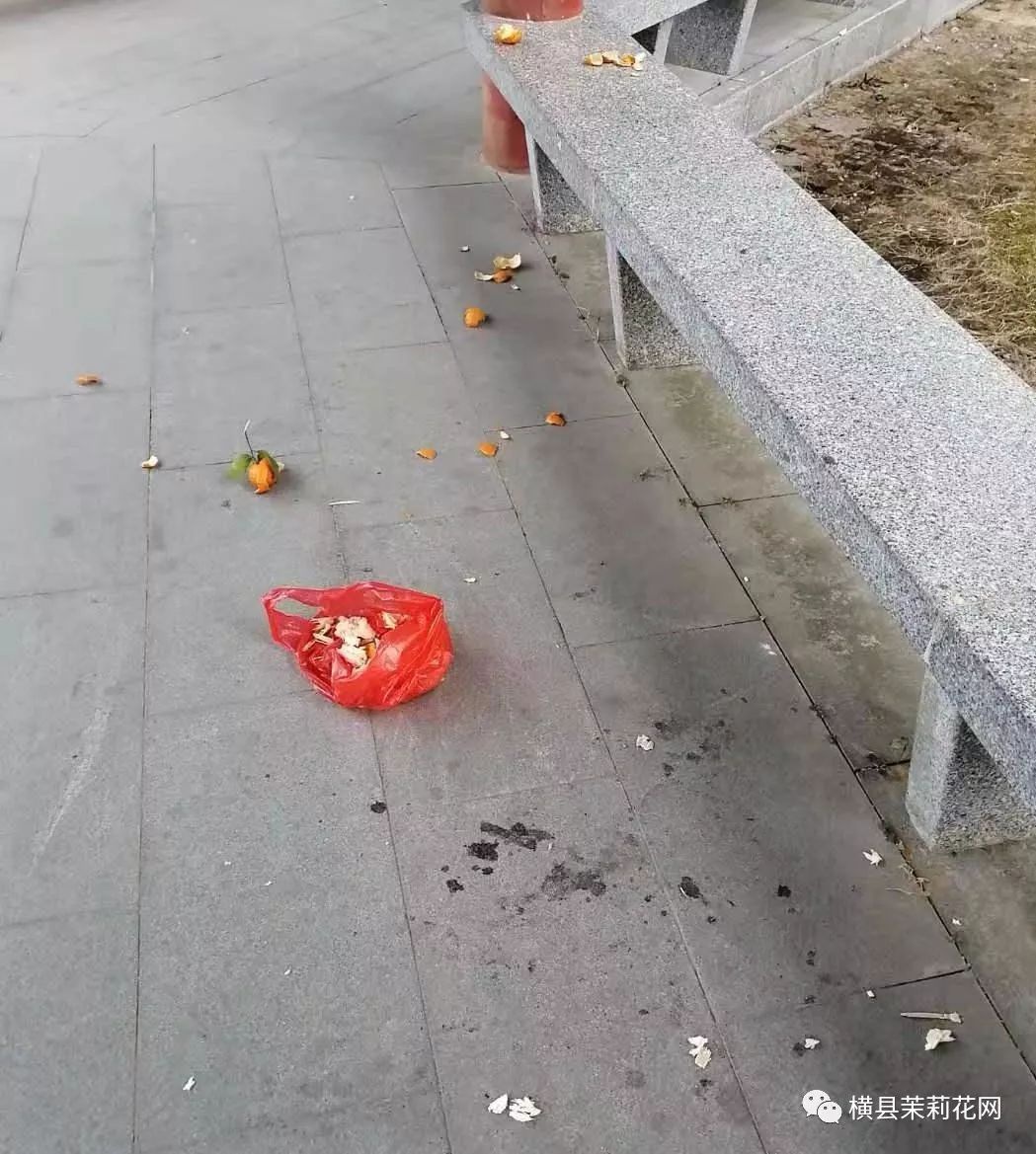 093939mxdjj3qvwpxobnvi.jpg