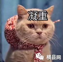 090007ao9e5p8wzs95j03u.jpg