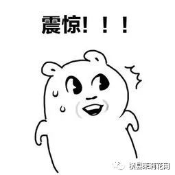 102734fp3pl98g05omswps.jpg