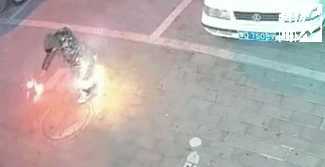 092246o4p5jj8452a2qkiu.jpg