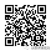 114518ky7jojvxo1677ety.jpg