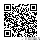 114519ivy22v753a21t1ph.jpg