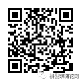 114935hvsmw5c3uuye3gmy.jpg