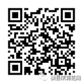 114936o55hndq1wjdjrfqv.jpg