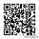 115541hs9yll2gb3imi90b.jpg