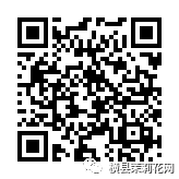 111543c6j1qdnqjg6xs1eq.jpg