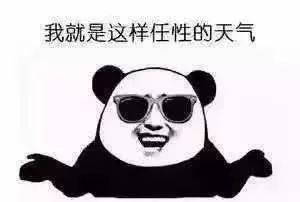 085315i6zn6z8w6225xfef.jpg