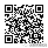 085723fltgpuhggpgkzh1v.jpg