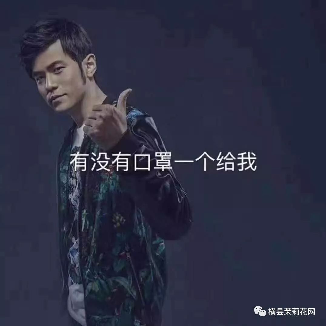 091533cz4q6ca1a3y1m464.jpg