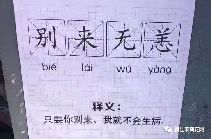 110344bu3dd6d11cz77ul9.jpg