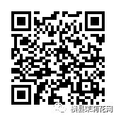 090453bofqb1yuunuf502u.jpg