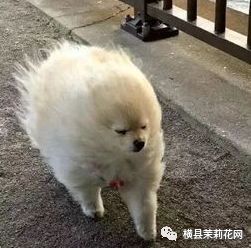 084841n6eqbu3zmdjx6dfe.jpg