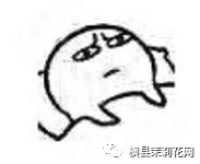 084842j8fxqlh8hiqwi6wx.jpg