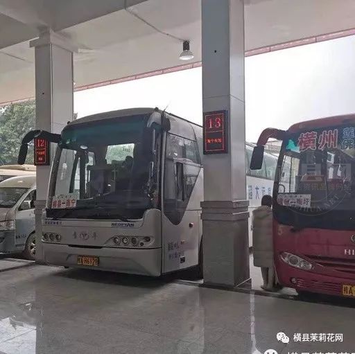085217ljmh9cpzoozkcpbo.jpg