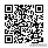 085325r9q328lzebe5023e.jpg