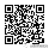 085326bah7xe2c7exsowks.jpg