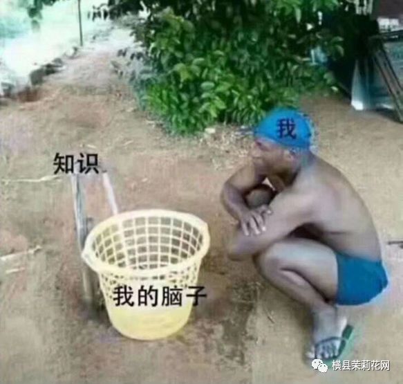 091747yndeyzj0iq0k0idx.jpg