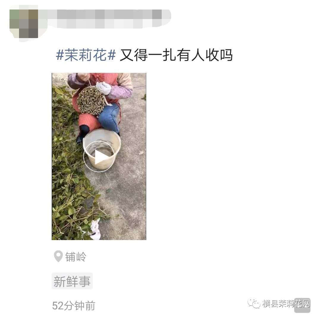 091749dgc22zss2nssfojf.jpg
