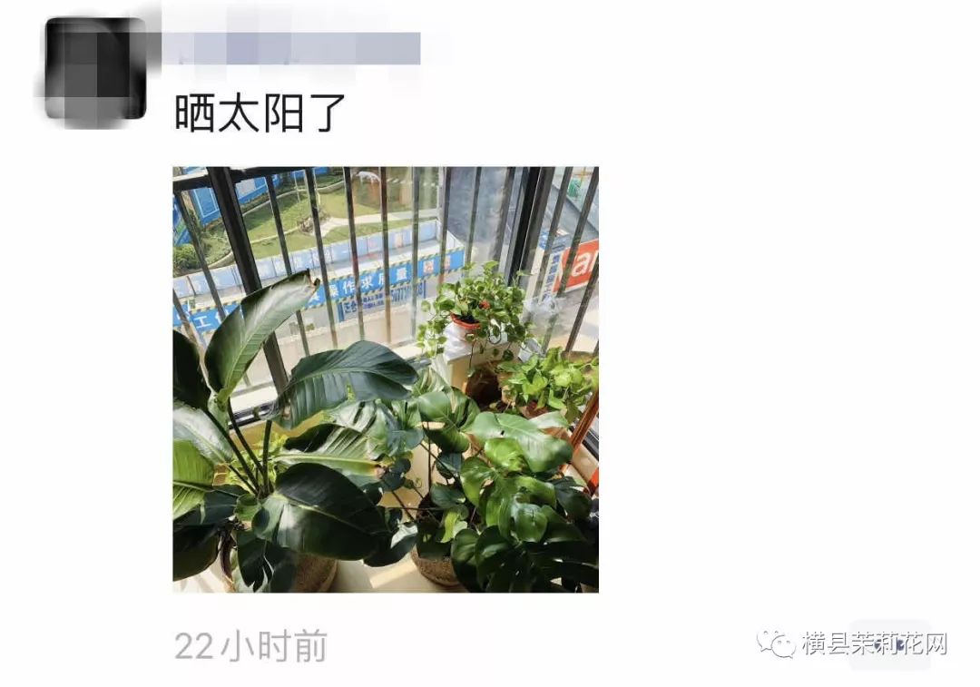 091752suvcsccfhxxuuacc.jpg
