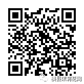 090739xpvoz0ezxxe153xn.jpg