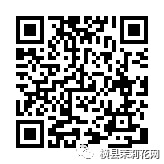 090739uotmzmu7j8woh99z.jpg