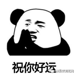 084341f1juz6fou1o97cg1.jpg