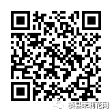 084655qhmmzmm6lv6sy2kg.jpg