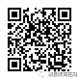 084655i8ri8moz5gix9sii.jpg