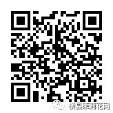 084156i5551554s5yy3zoi.jpg