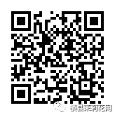 084156vx41kf2ufwouff8f.jpg