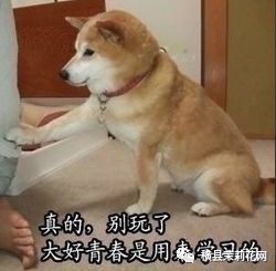 083931fw4qh7uunjq3hi77.jpg