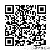 092828p2zqqmfquudbf1vq.jpg