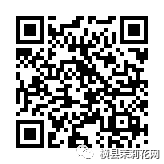 084810cykyzqzkyzsqv5pq.jpg