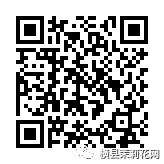 091645xz0gswgxtstv1e65.jpg