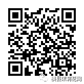 091646hxj7lrtl78wzgzsa.jpg