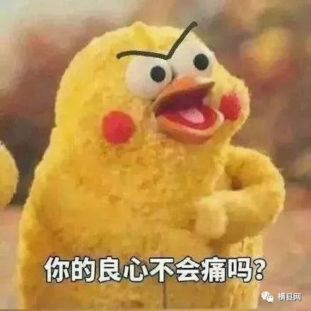 085651cvfujfkjunjjjtd2.jpg